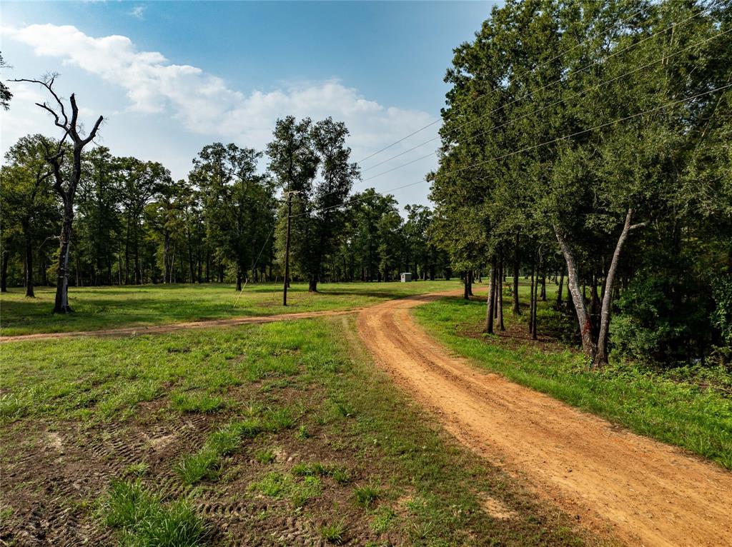 Tbd Moon Lake Rd Property Photo 9