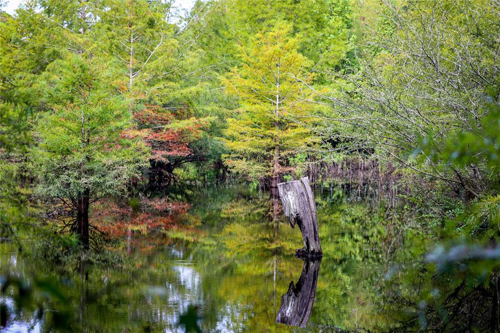 Tbd Moon Lake Rd Property Photo 10