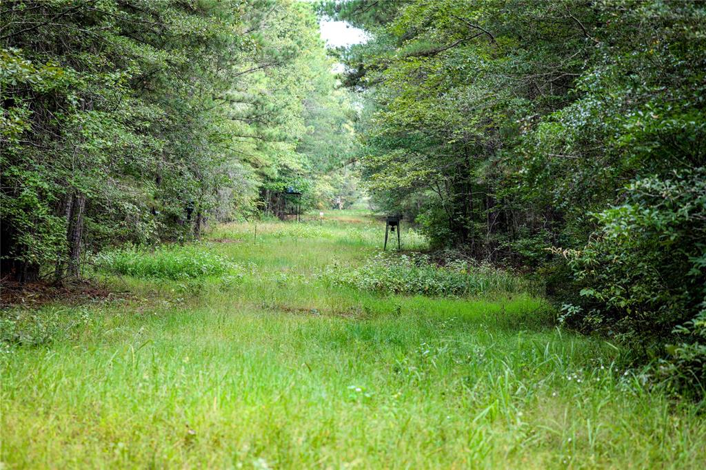 Tbd Moon Lake Rd Property Photo 16