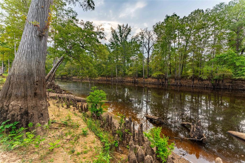Tbd Moon Lake Rd Property Photo 17
