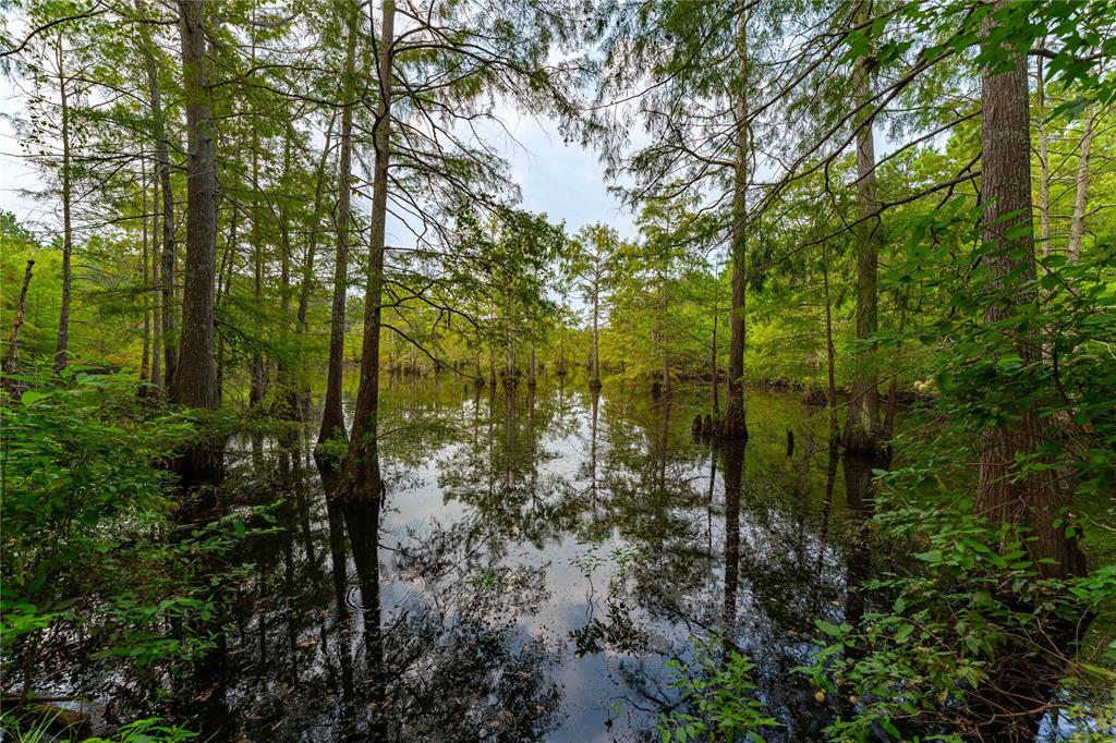Tbd Moon Lake Rd Property Photo 18