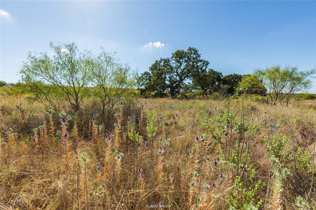 147 Turtle Hole Road Property Photo 4