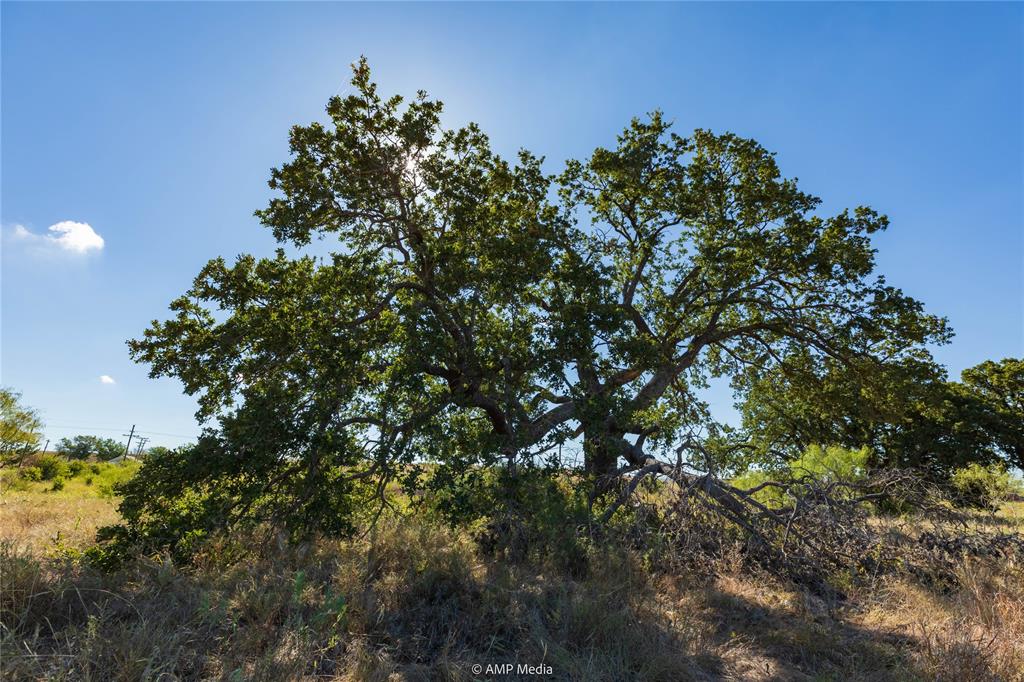147 Turtle Hole Road Property Photo 8
