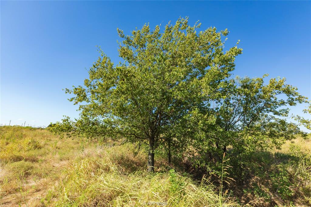 147 Turtle Hole Road Property Photo 17