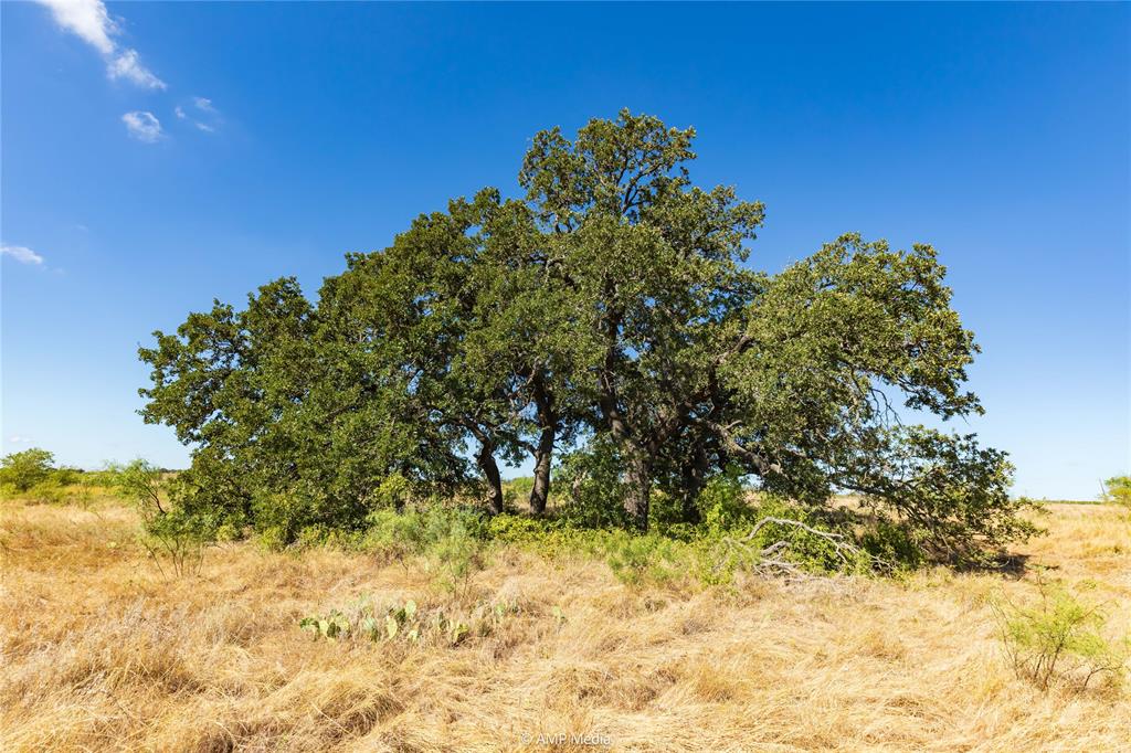 147 Turtle Hole Road Property Photo 19