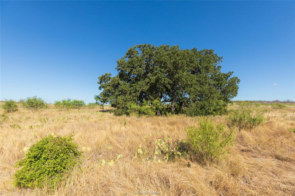 147 Turtle Hole Road Property Photo 20