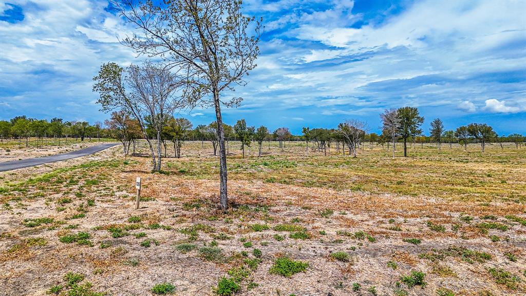 Lot 126 Waterfront Club Property Photo 4