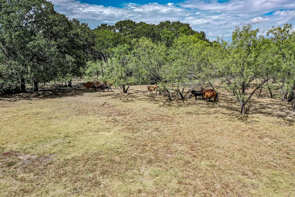637 Lyman T Davis Drive Property Photo 18