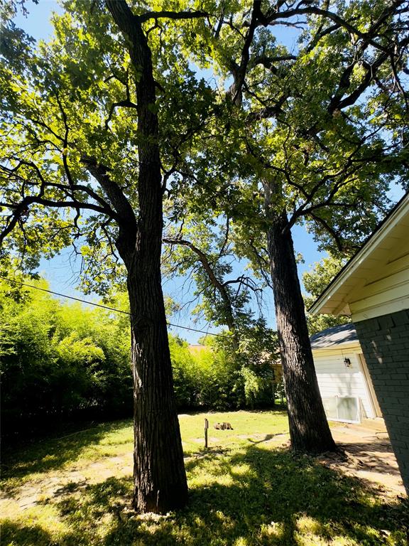 4713 Driskell Boulevard Property Photo 28