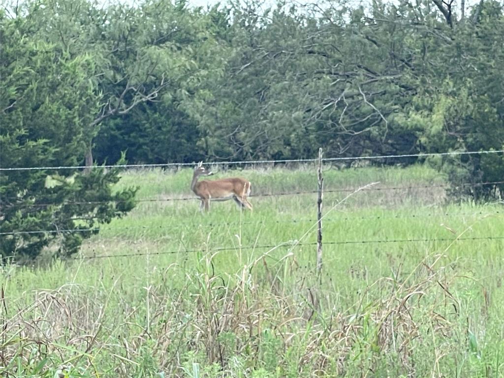 Tbd Deer Flat Drive Property Photo 13