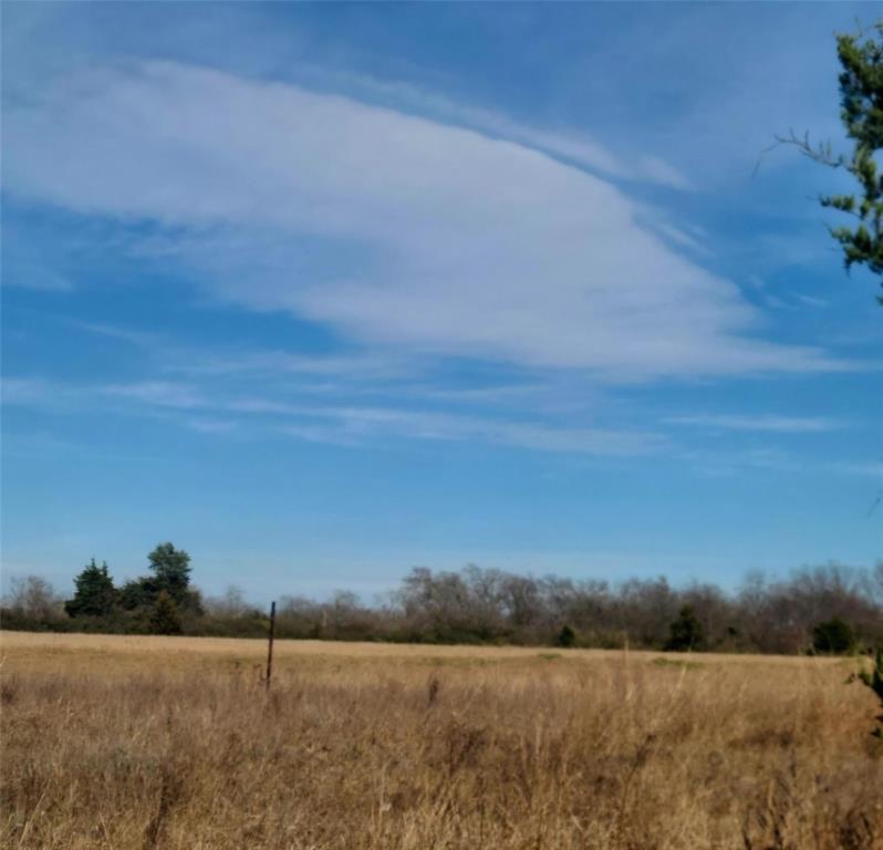 3366 County Road 1114 Property Photo 1