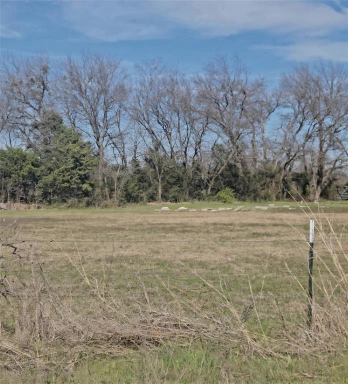 3366 County Road 1114 Property Photo 2
