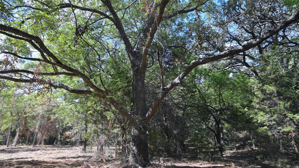Tbd Fm 1806 Street Property Photo