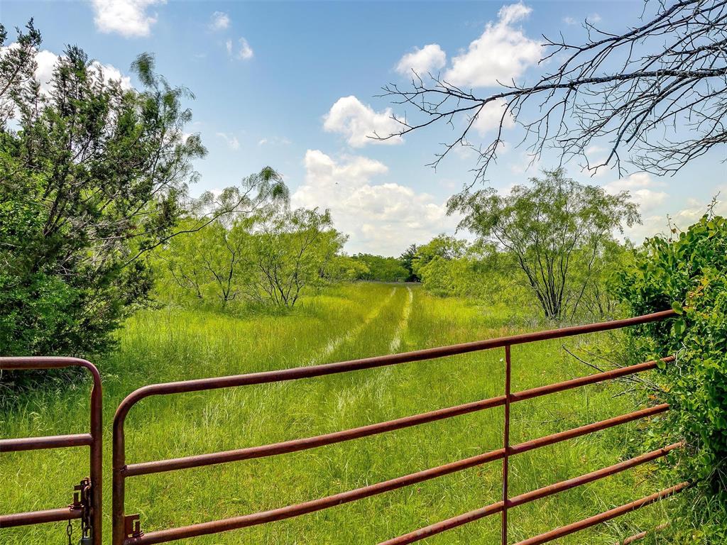 10849 County Road 1117 Property Photo 4