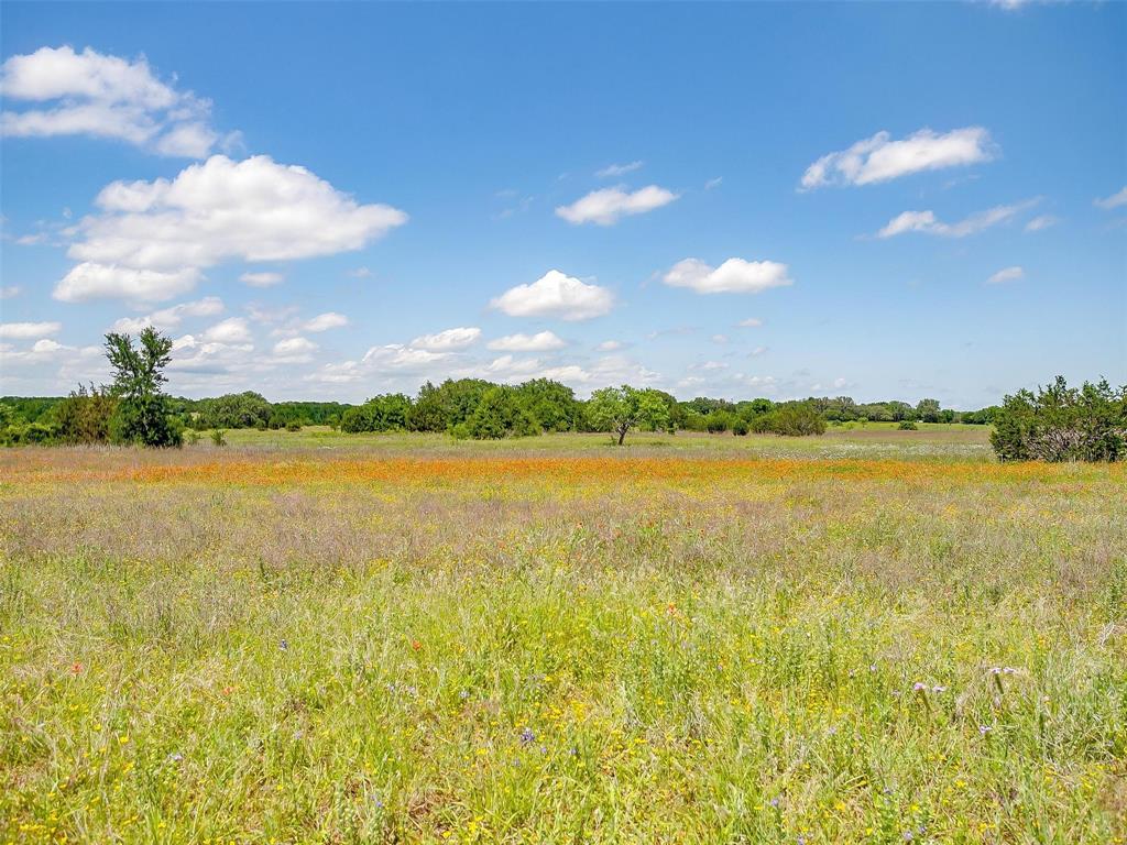 10849 County Road 1117 Property Photo 6