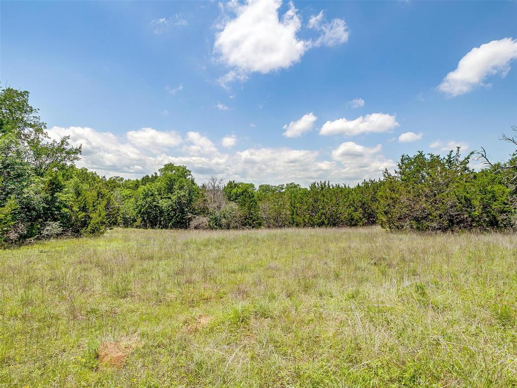 10849 County Road 1117 Property Photo 8