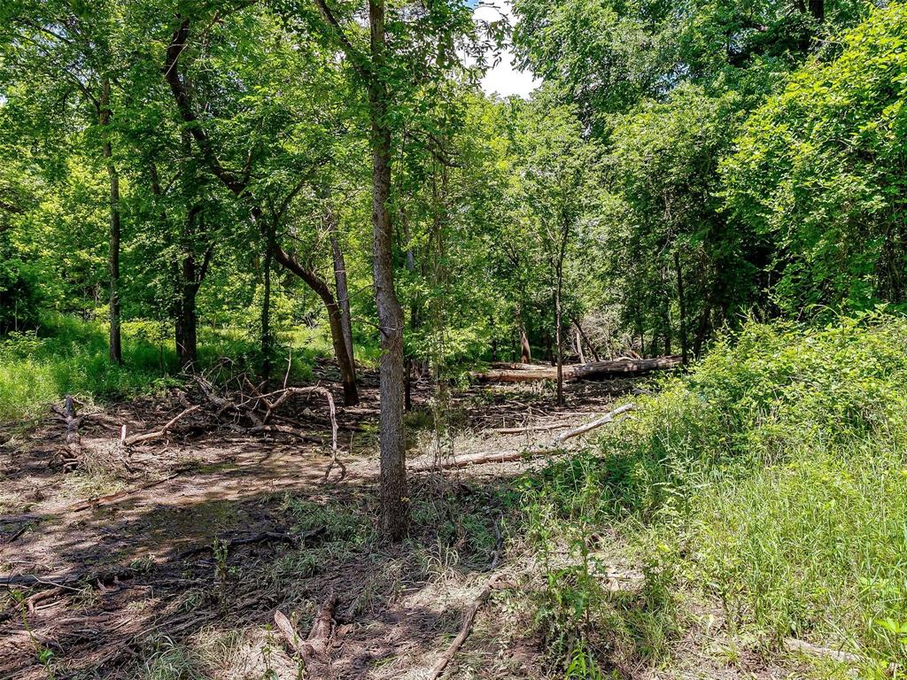 10849 County Road 1117 Property Photo 11