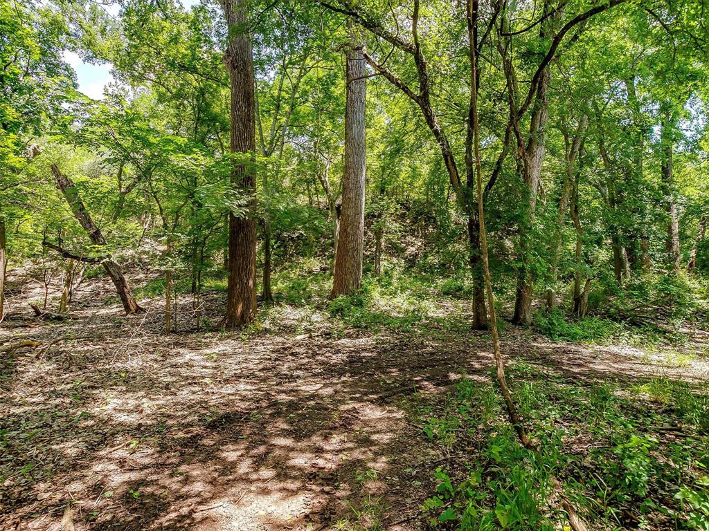 10849 County Road 1117 Property Photo 12