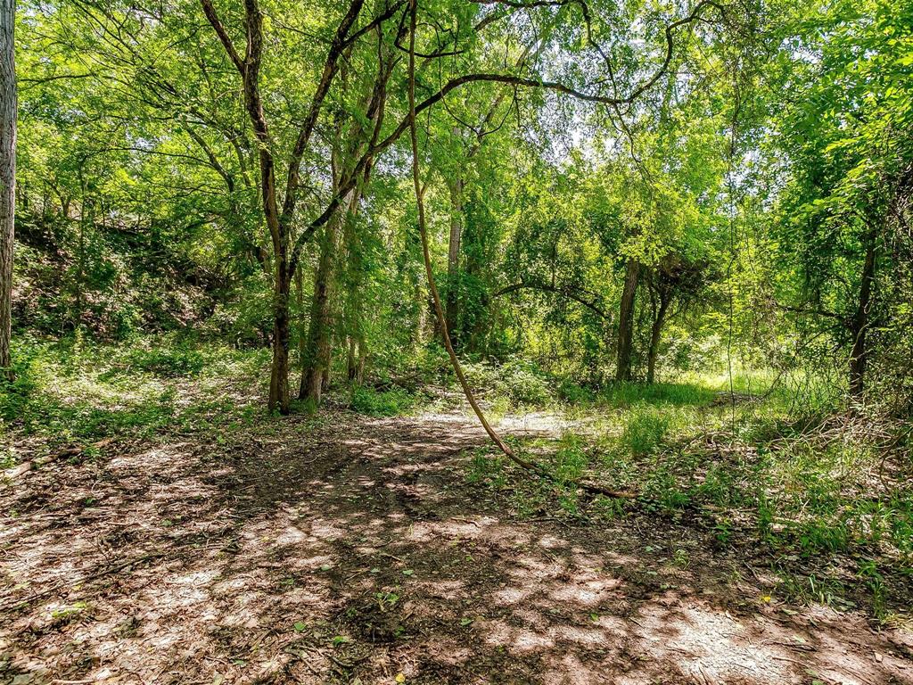 10849 County Road 1117 Property Photo 13