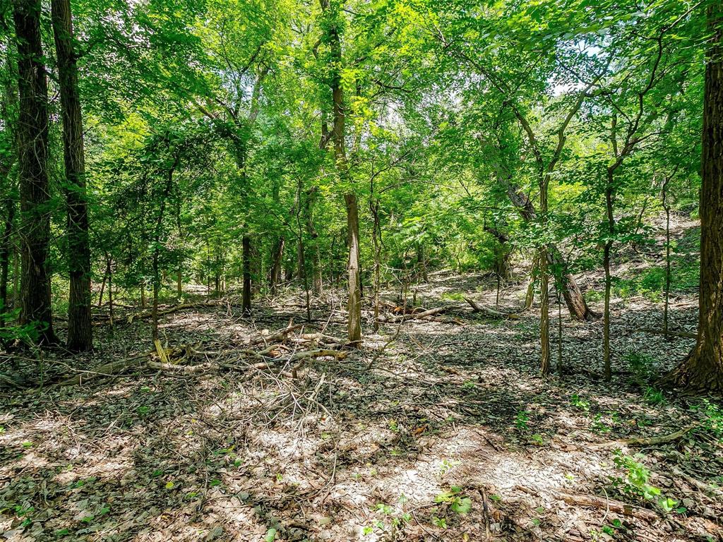 10849 County Road 1117 Property Photo 14