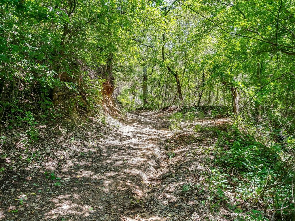 10849 County Road 1117 Property Photo 15
