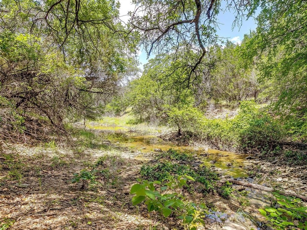 10849 County Road 1117 Property Photo 16