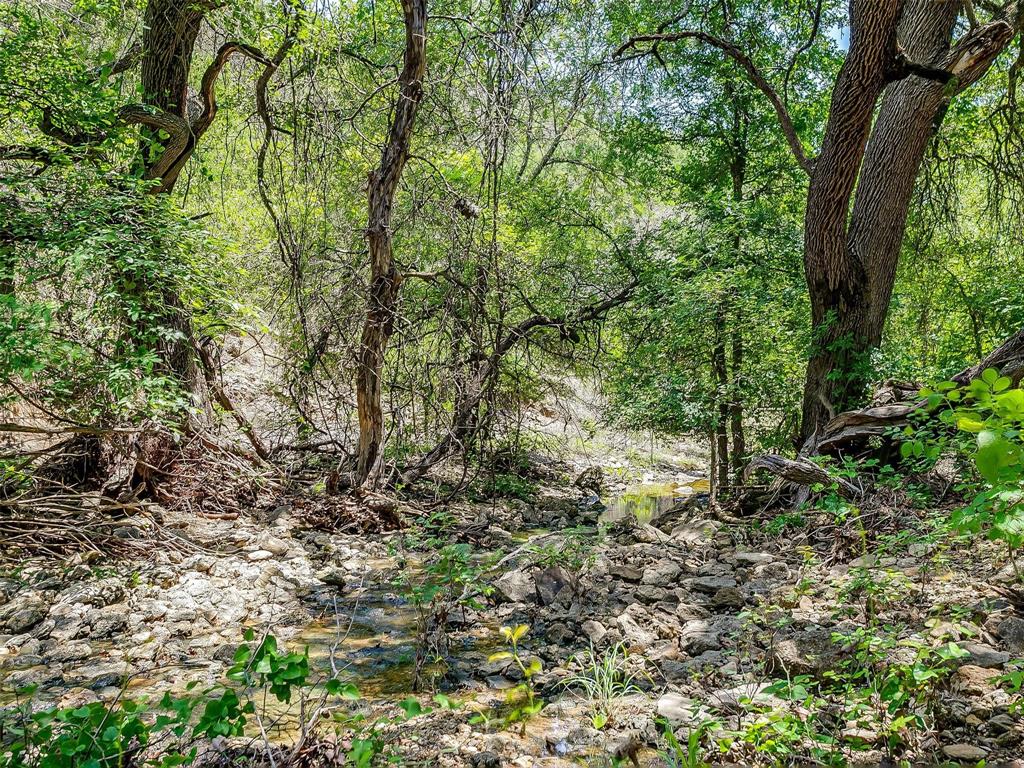 10849 County Road 1117 Property Photo 17