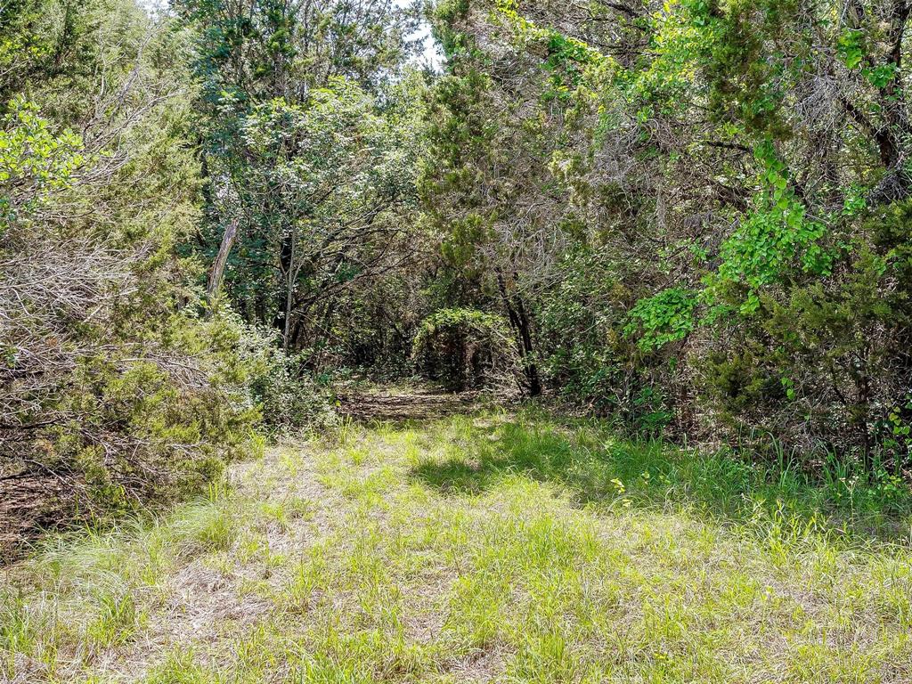 10849 County Road 1117 Property Photo 20