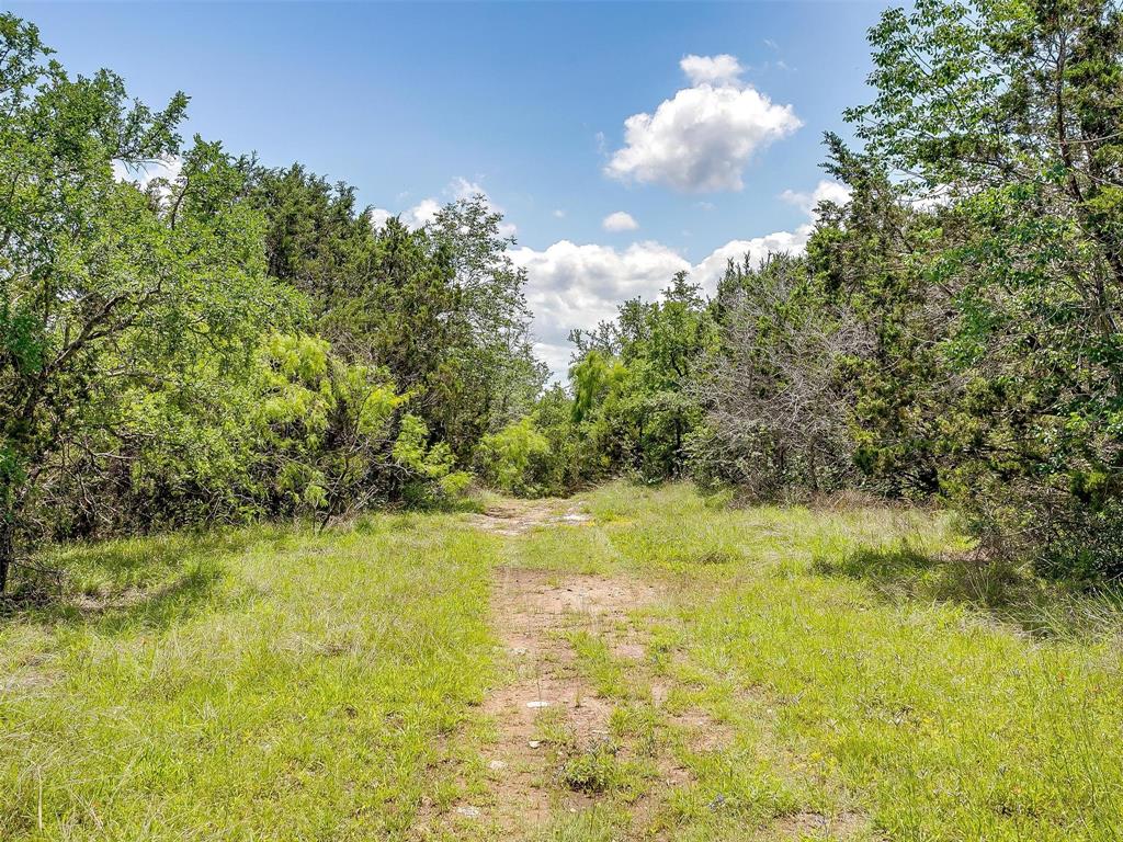 10849 County Road 1117 Property Photo 22