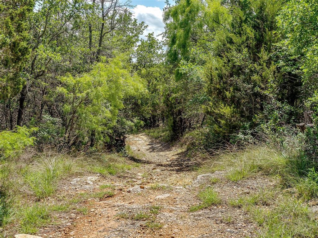 10849 County Road 1117 Property Photo 23