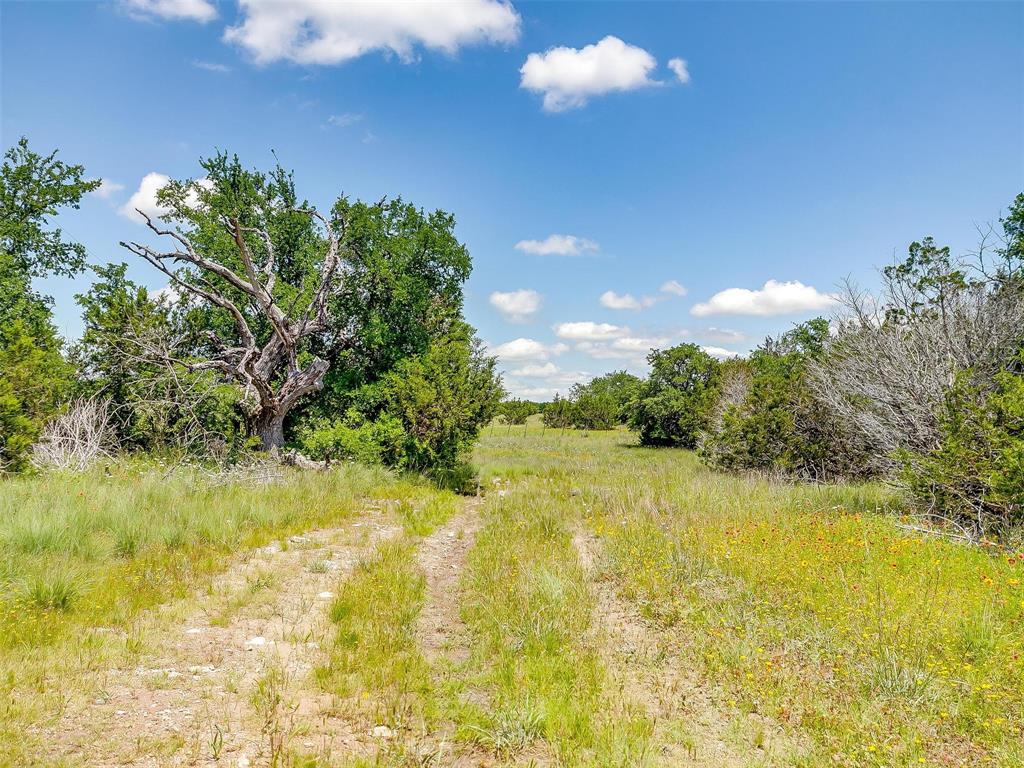 10849 County Road 1117 Property Photo 25