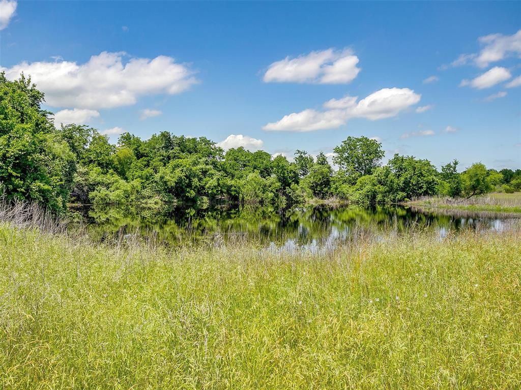 10849 County Road 1117 Property Photo 29