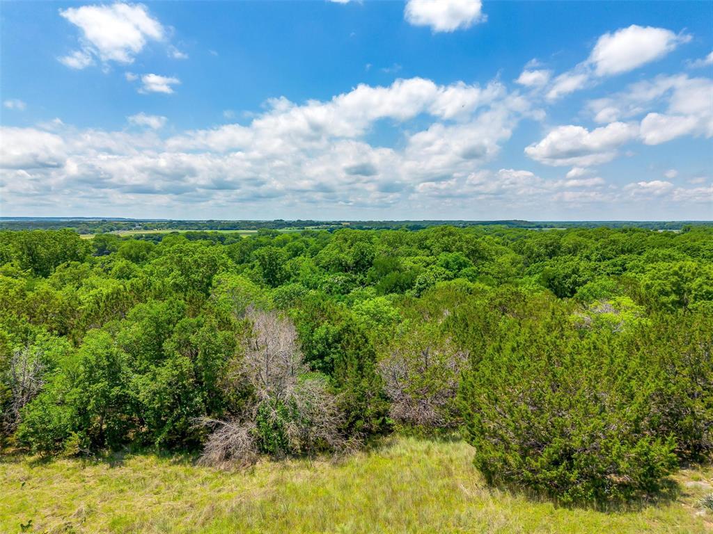 10849 County Road 1117 Property Photo 32