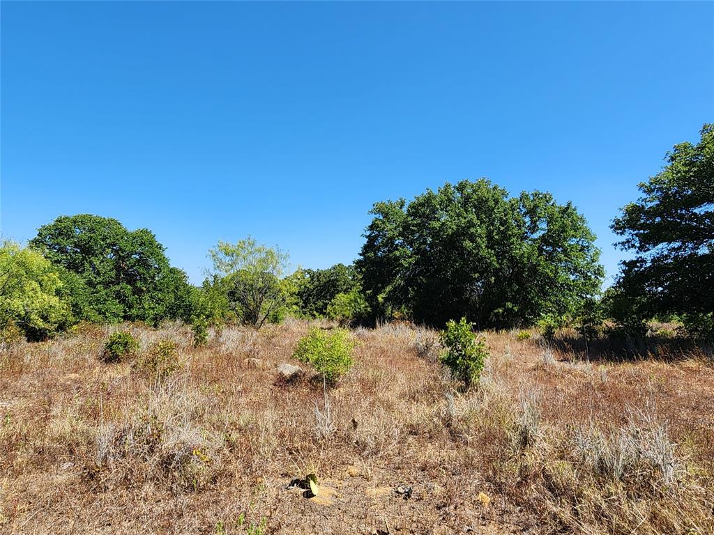 12750 County Road 129 Property Photo 3