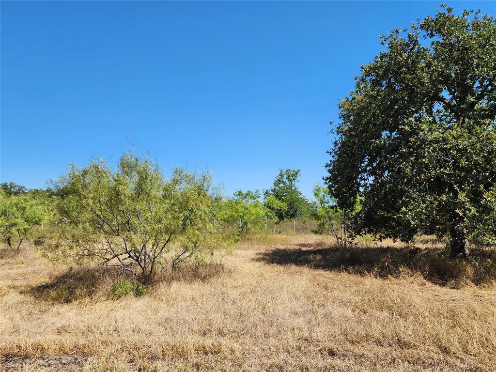 12750 County Road 129 Property Photo 15