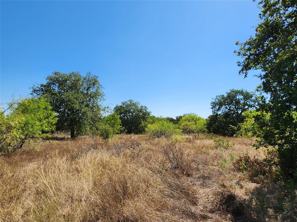 12750 County Road 129 Property Photo 16