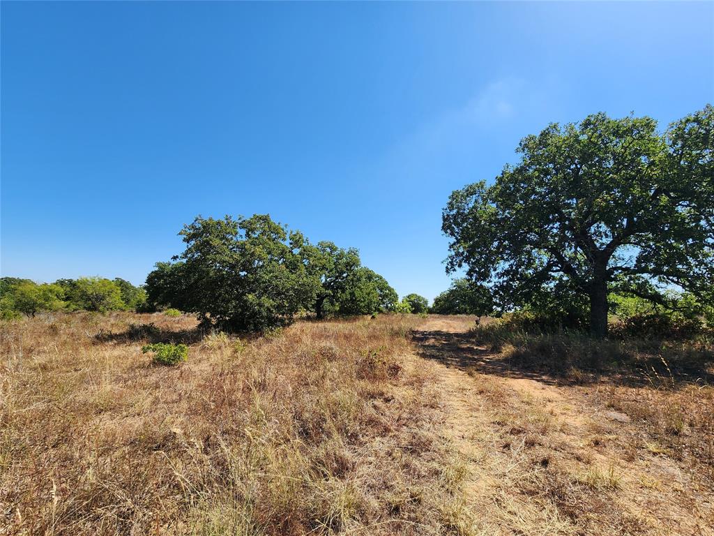 12750 County Road 129 Property Photo 21