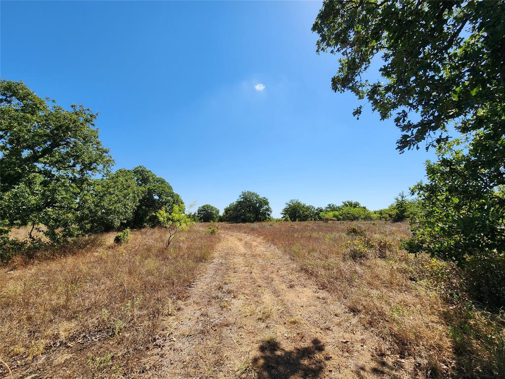 12750 County Road 129 Property Photo 22