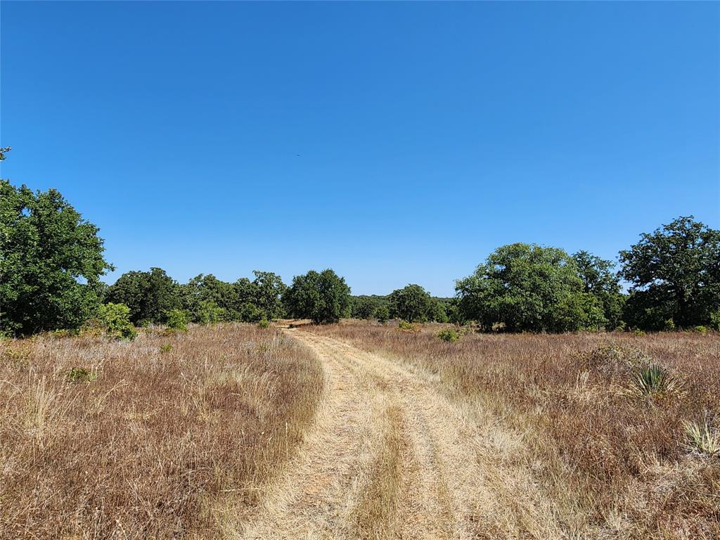 12750 County Road 129 Property Photo 23