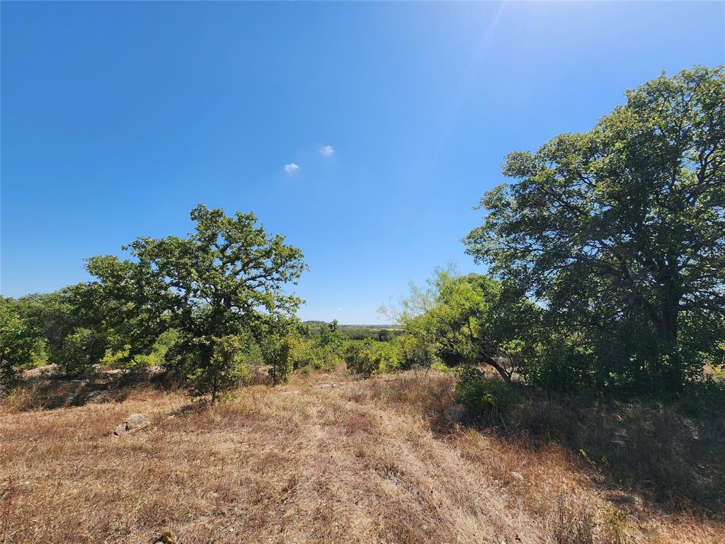 12750 County Road 129 Property Photo 24