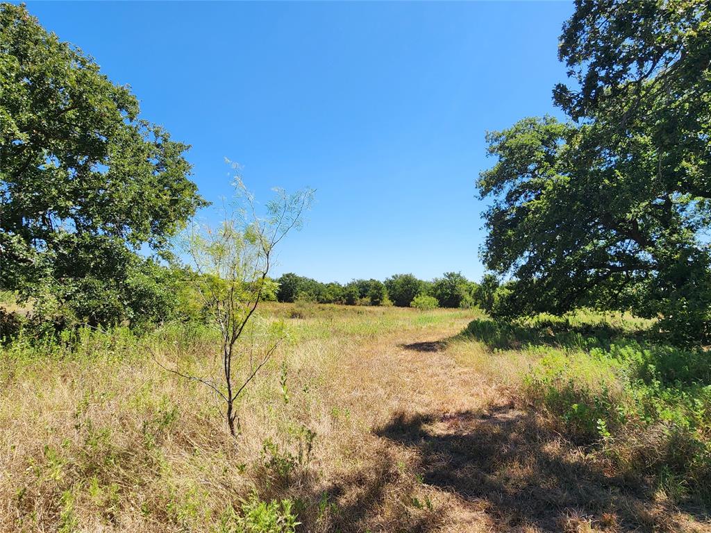 12750 County Road 129 Property Photo 28