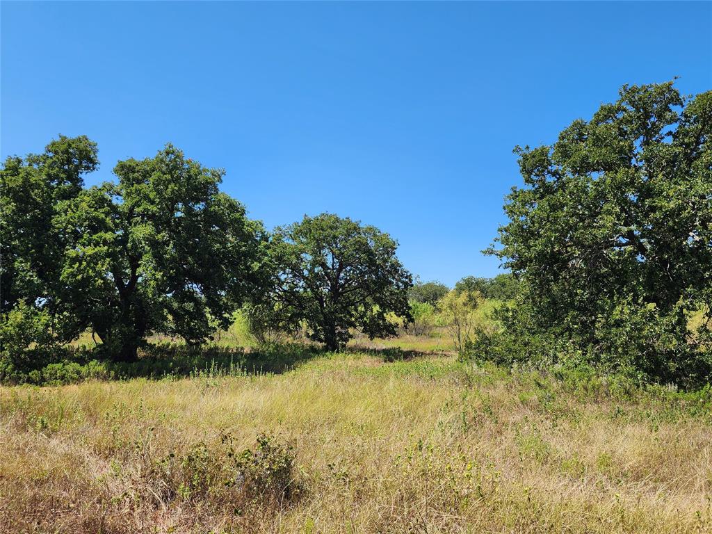 12750 County Road 129 Property Photo 29