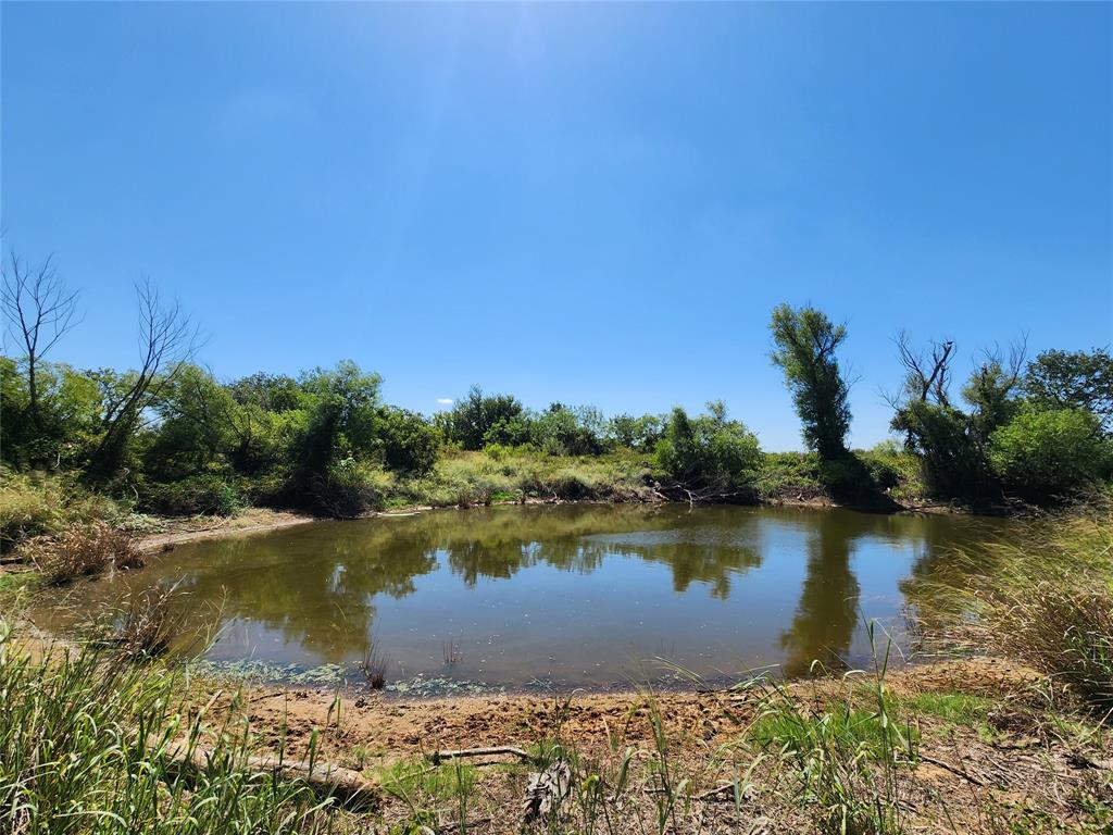 12750 County Road 129 Property Photo 31