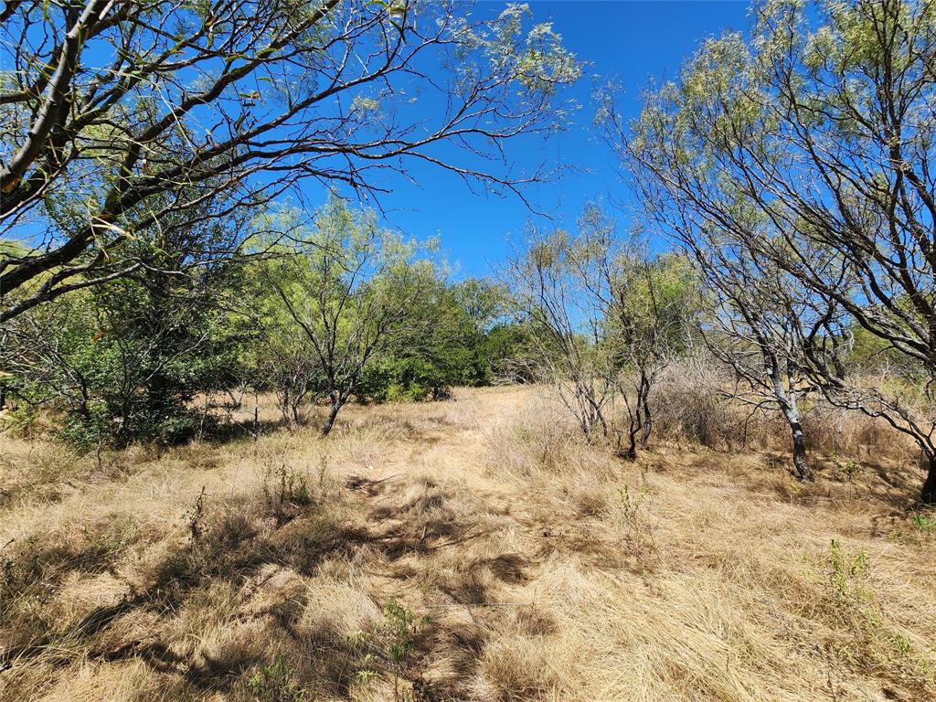 12750 County Road 129 Property Photo 32