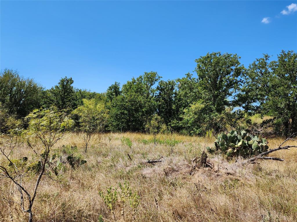12750 County Road 129 Property Photo 33