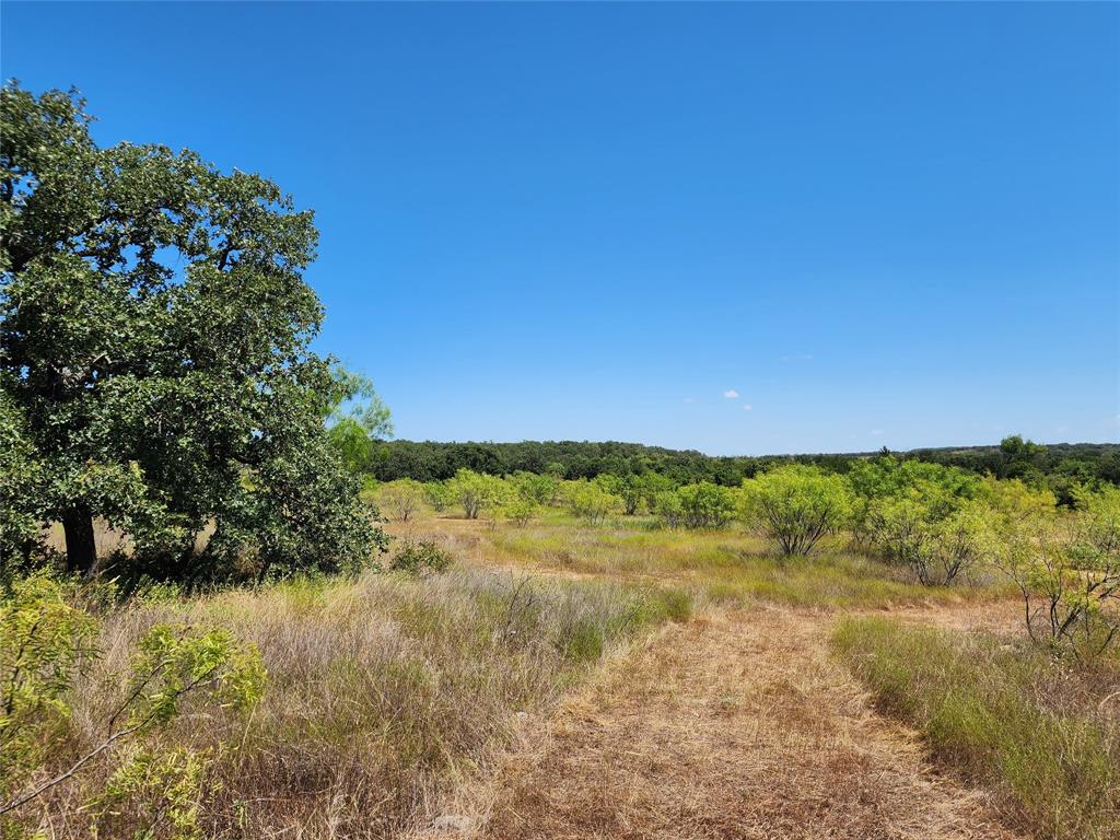 12750 County Road 129 Property Photo 39