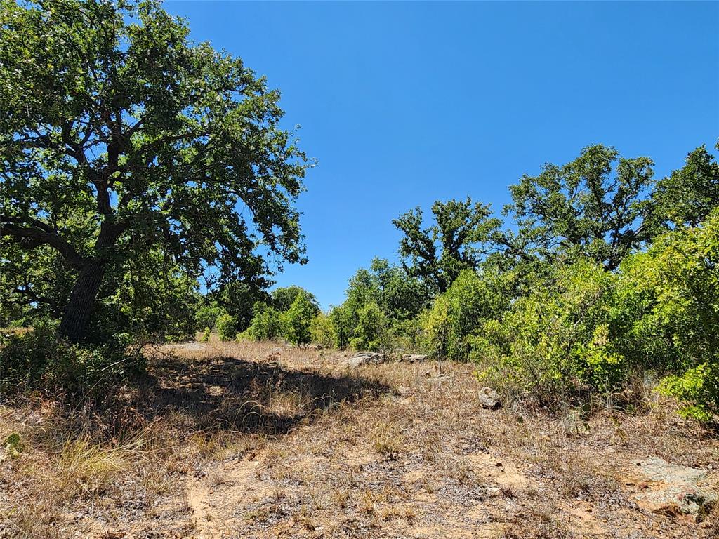 12750 County Road 129 Property Photo 40