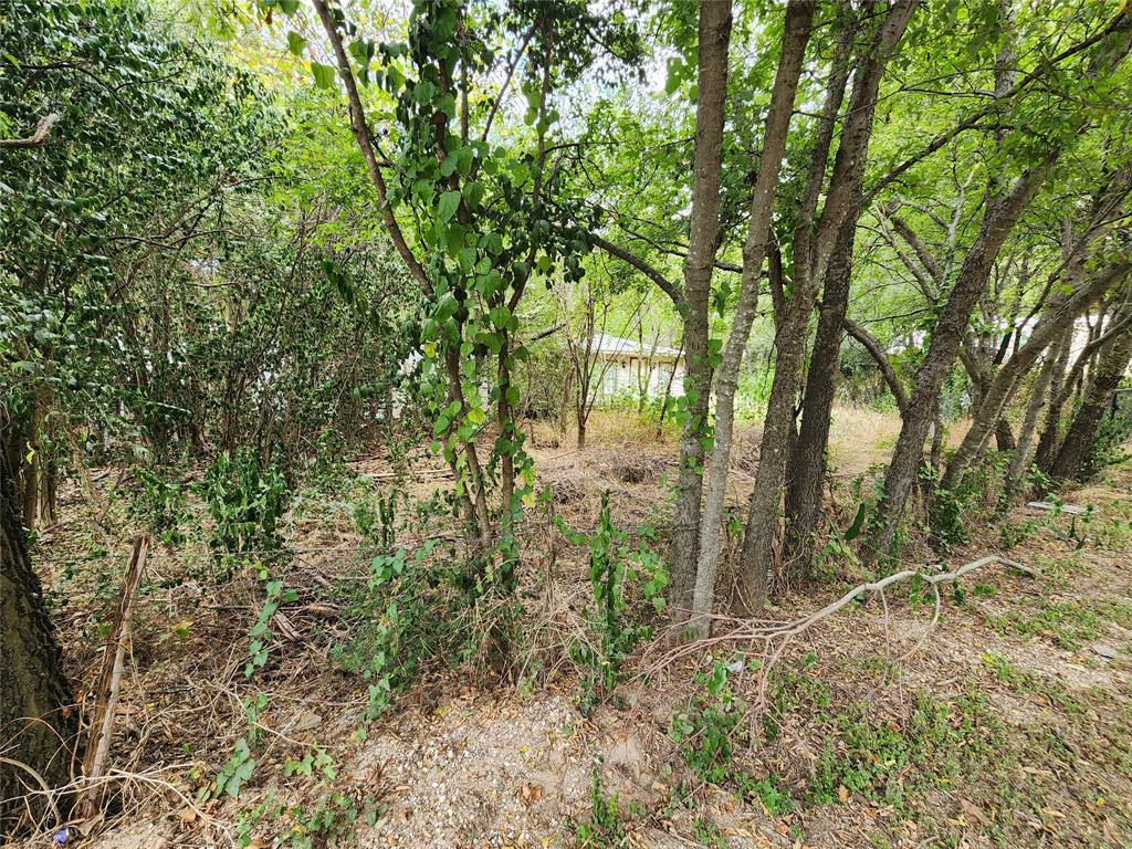 Tbd Timberline Drive Property Photo 8
