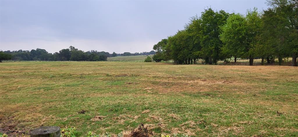 Tbd County Road 1900 Property Photo 4