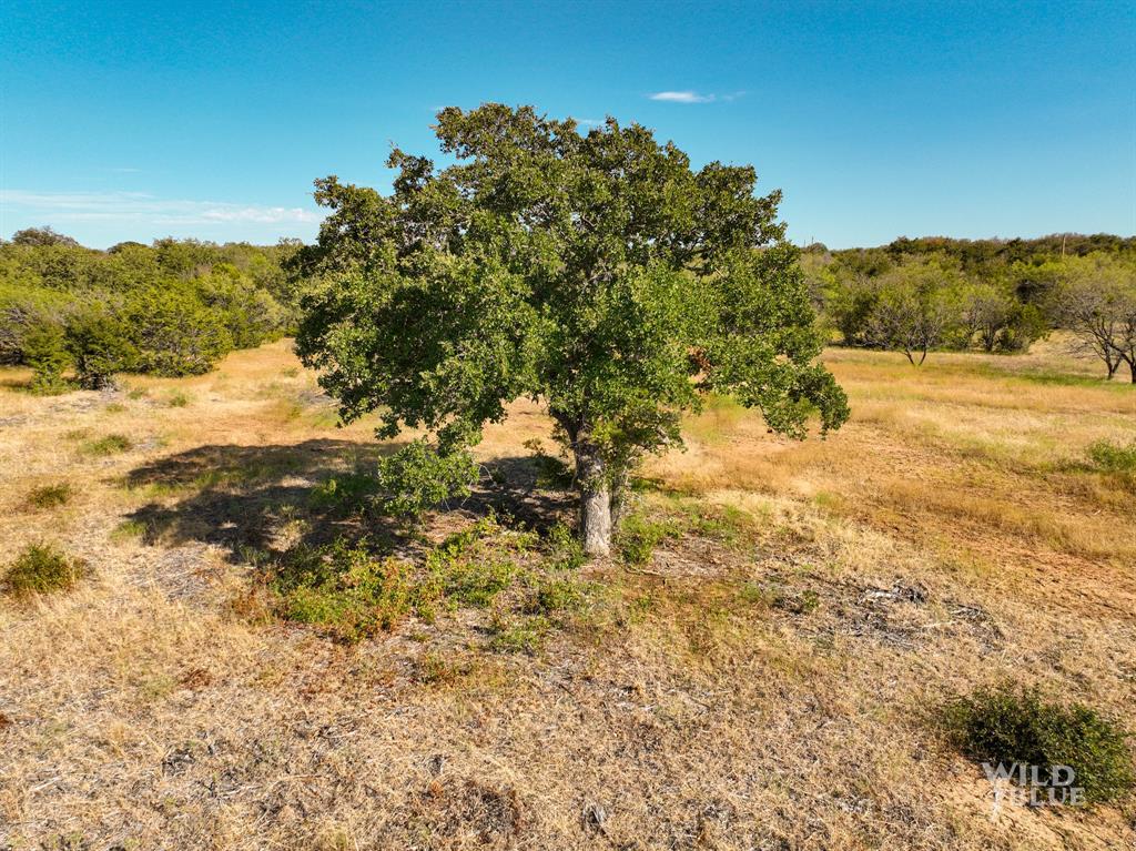 Tbd Lots 24 New Hope Road Property Photo 33